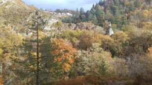 Lire la suite à propos de l’article Protégé : Gimel les cascades, l’arboretum – dimanche 14 novembre 2021